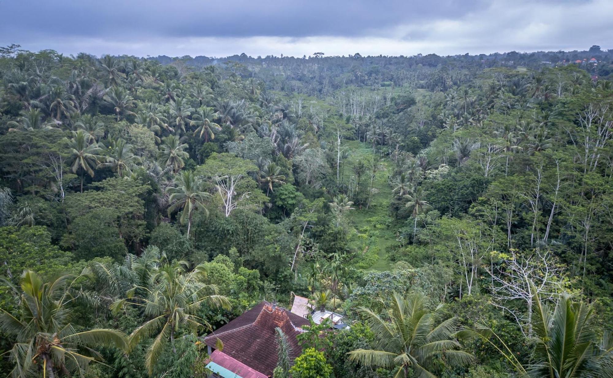 Yoga Maya Villa Gianyar  Luaran gambar